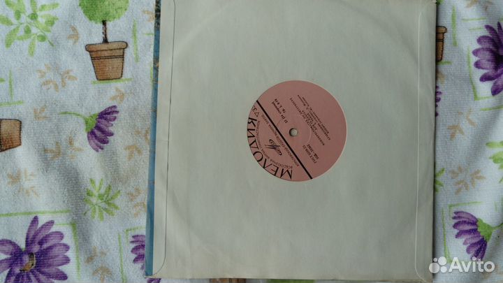 Фонохрестоматия по литературе для IX класса