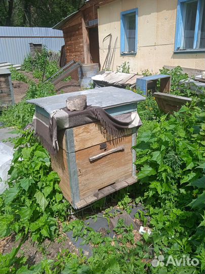 Ульи новые для пчел