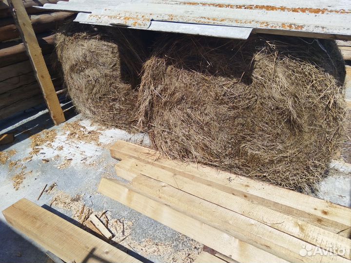 Продам сено в рулонах