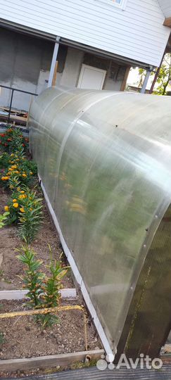 Теплица поликарбонат 1,5х6м, высота 1.7м