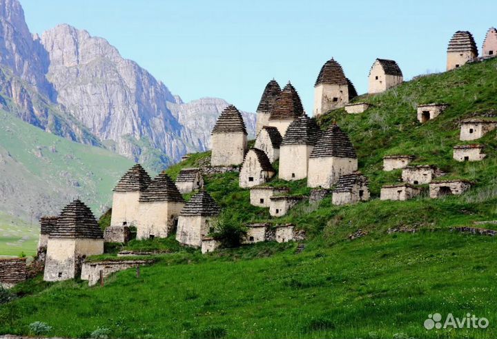 Поездка Шелковый путь на 2 ночи древние крепости