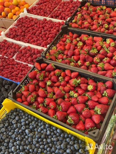 Овощи, фрукты, соленья крупным оптом