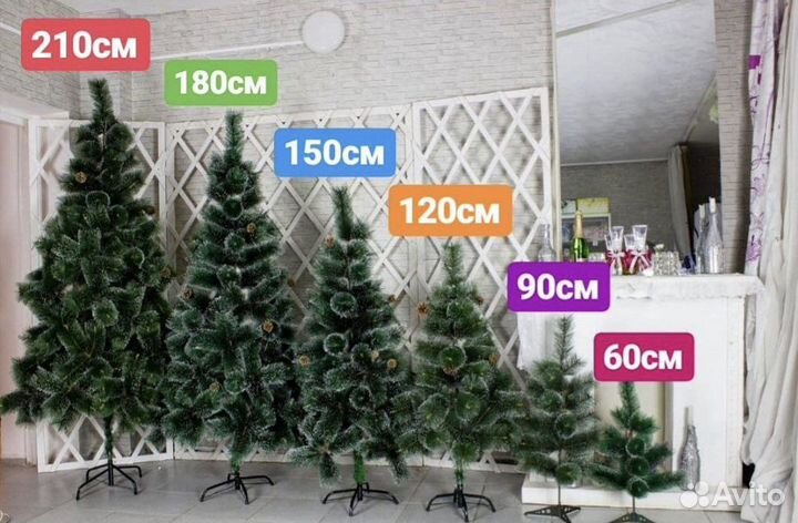 Новогодние елки сосны