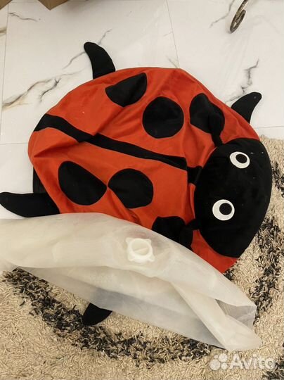 Божья коровка