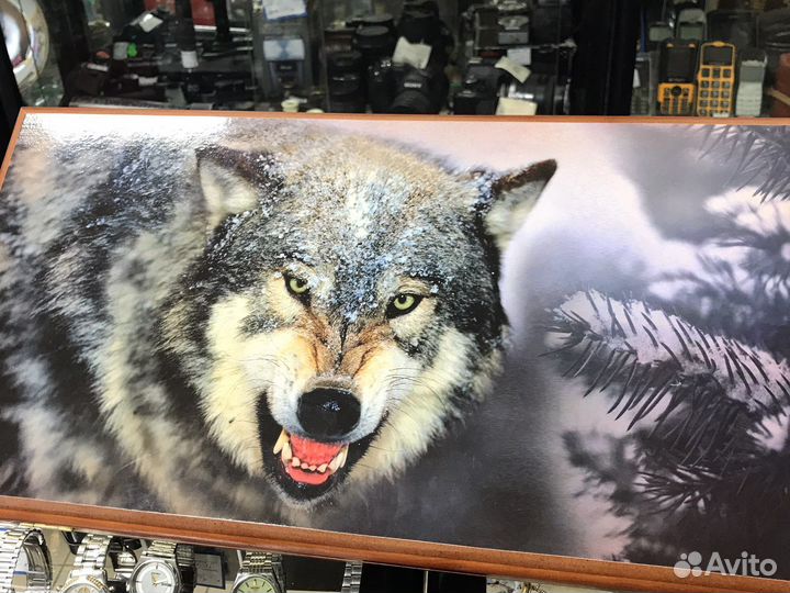 Нарды разные в ассортименте