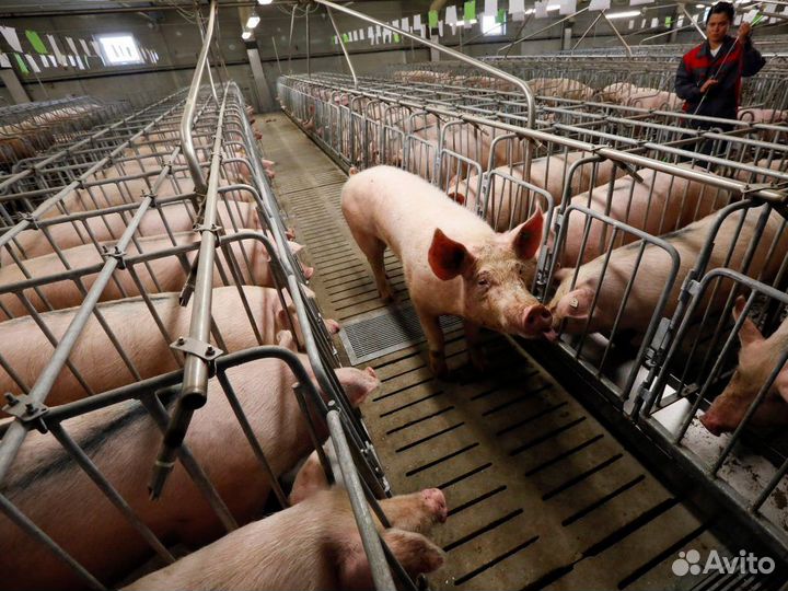 Рабочий в Респ.Адыгея (с проживанием)