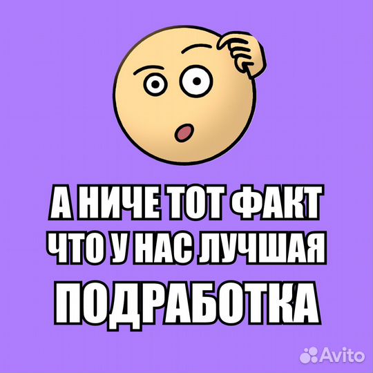 Курьер вело / Оплата каждый день