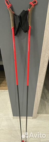 Лыжные палки
