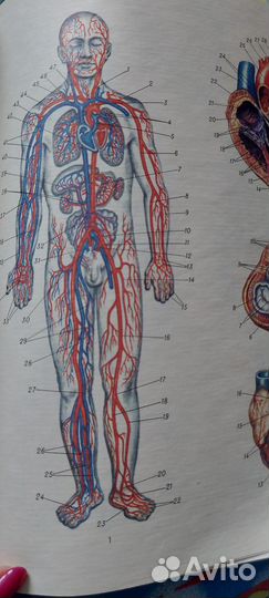 Энциклопедия