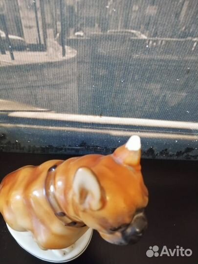 Статуэтка фарфоровая СССР лфз Бульдог