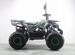 Квадроцикл motax ATV grizlik super LUX 125 New зел