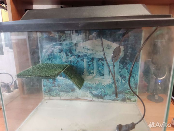 Аквариум