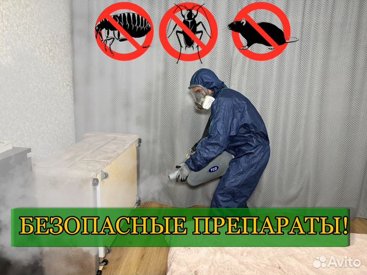 Уничтожение тараканов, клопов, блох, грызунов