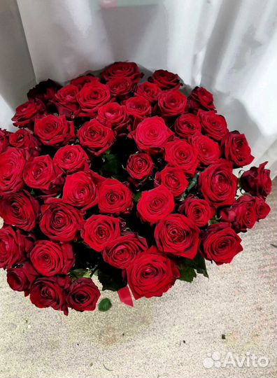Розы, букет цветов 51 шт