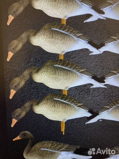 Сминаемые муляжи гусей серый белолоб гумяш охота