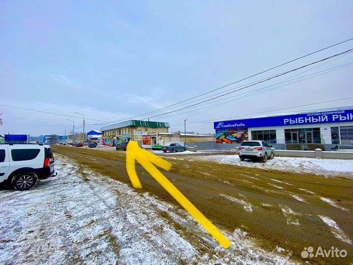 Мука мартин казахстан