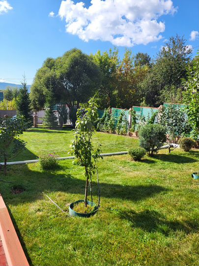 Дом 100 м² на участке 8 сот.