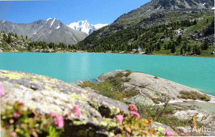 Тур поездка Алтай летний экспедиции до 8 дн