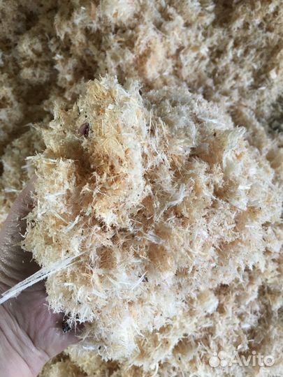 В Самаре Опилки сосновые, сухие в наличии