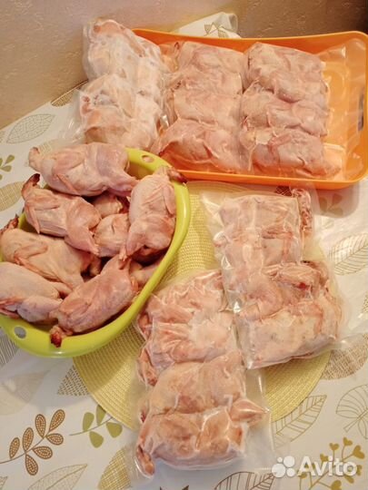 Домашнее мясо перепелов, перепела,перепелка