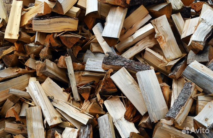 Дрова осина