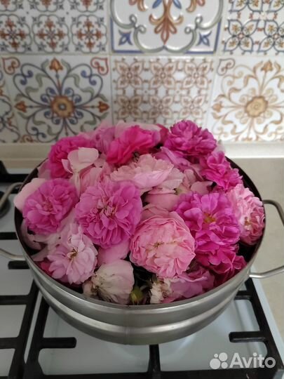 Гидролат розы