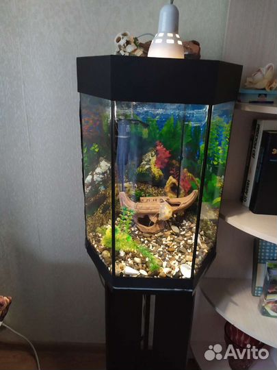 Аквариум