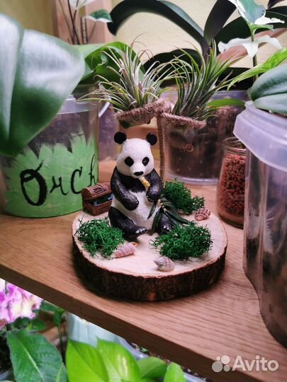 Подставка для тилландсии