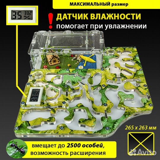 Муравьиная ферма (Формикарий) Макси c гигрометром