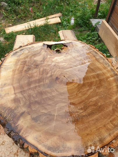 Слэб дерева и спилы