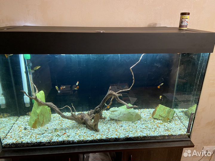 Аквариум