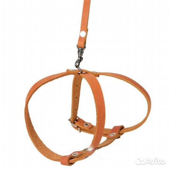 Шлейки для собак и кошек всех пород