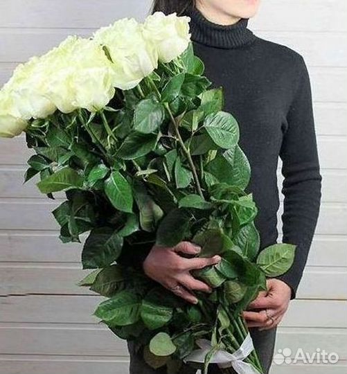 Длинные высокие розы 110 150 160 180 200 см