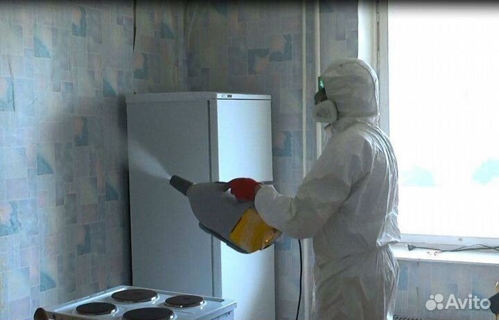 Средство для Уничтожения клопов Дезинсекции тараканов