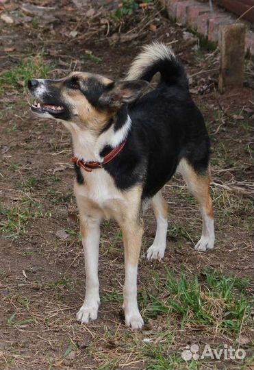 Хорошая девочка в хорошие руки