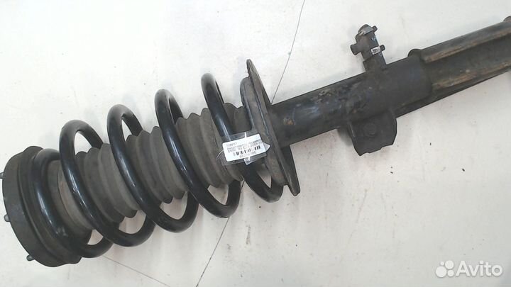 Амортизатор подвески BMW X5 E53, 2006