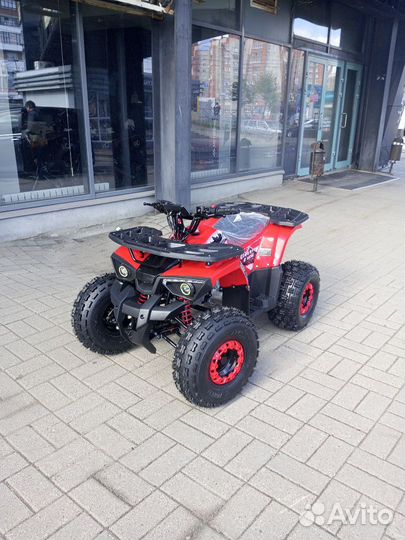 Avantis classik 8 new