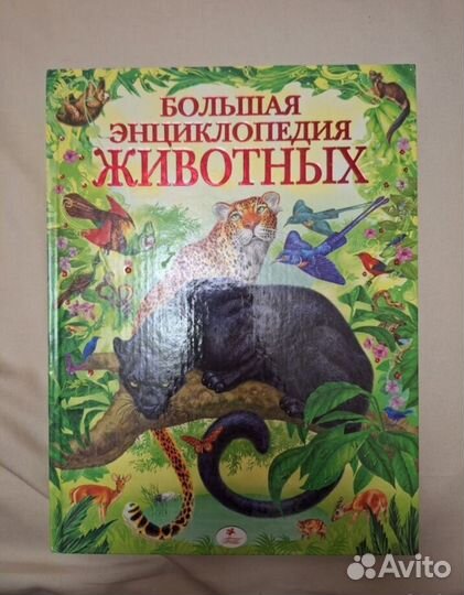 Энциклопедия