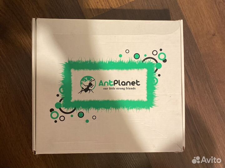 Моравьинная ферма AntPlanet с муравьями