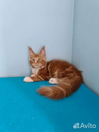 Милый малыш