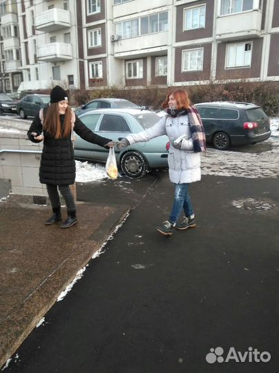 Раздача листовок,раскладка по почтовым ящикам,раск