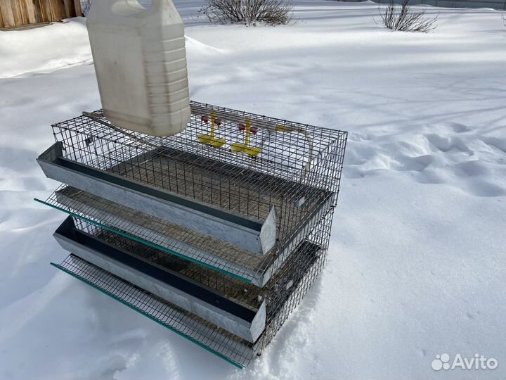 Клетки для перепелов