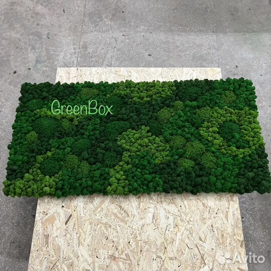 Панно из мха 165*80см