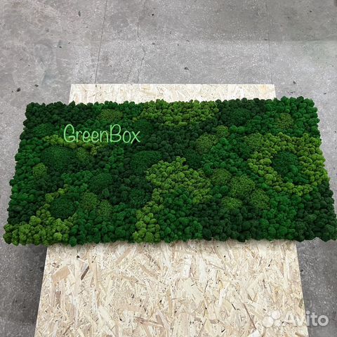 Панно из мха 165*80см