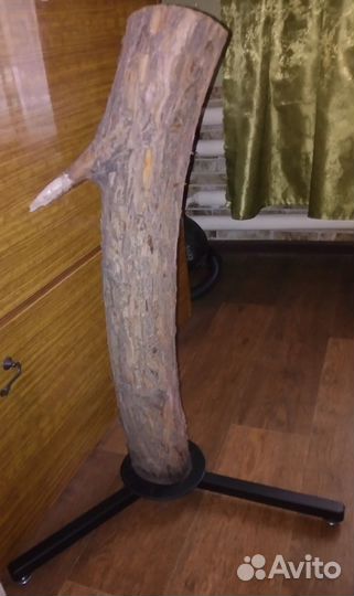 Когтеточка