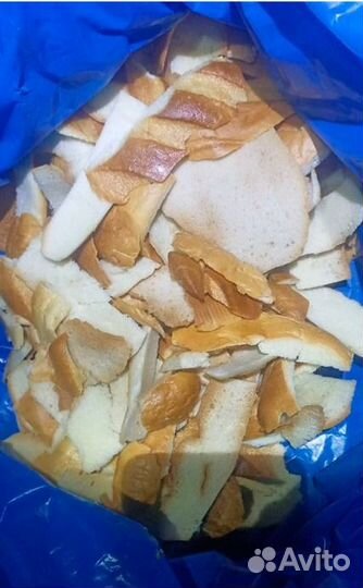 Овощи на корм животным