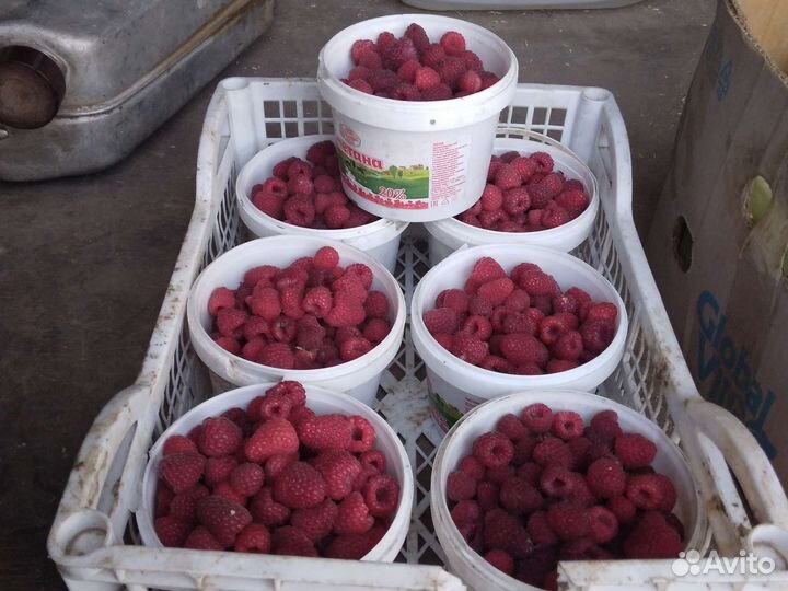 Малина ягода