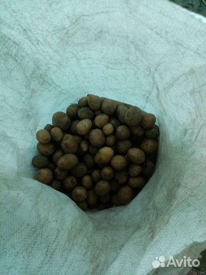 На корм животным