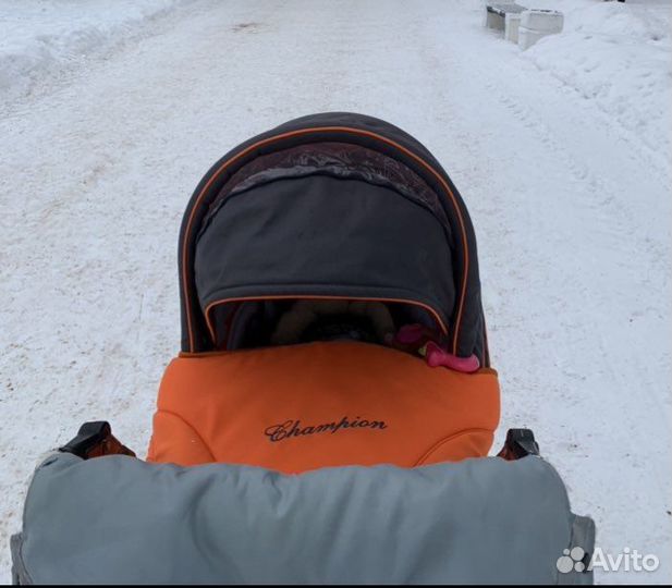 Коляска Adamex champion