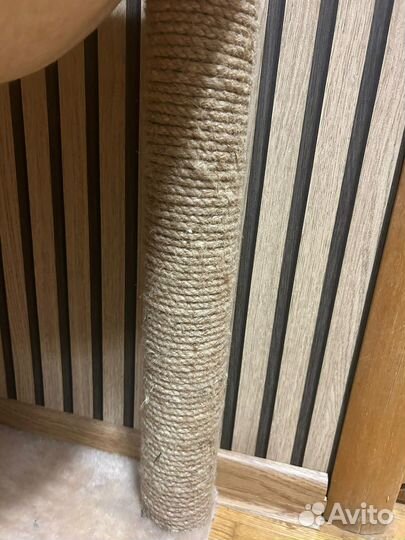 Когтеточка